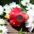 Terra Cotta Self Watering Mushrooms